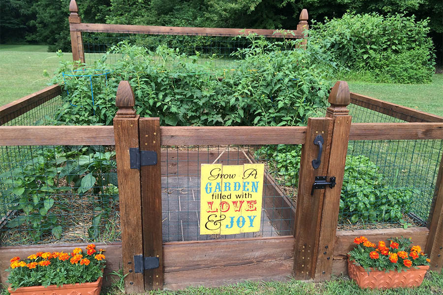 garden showcase contest