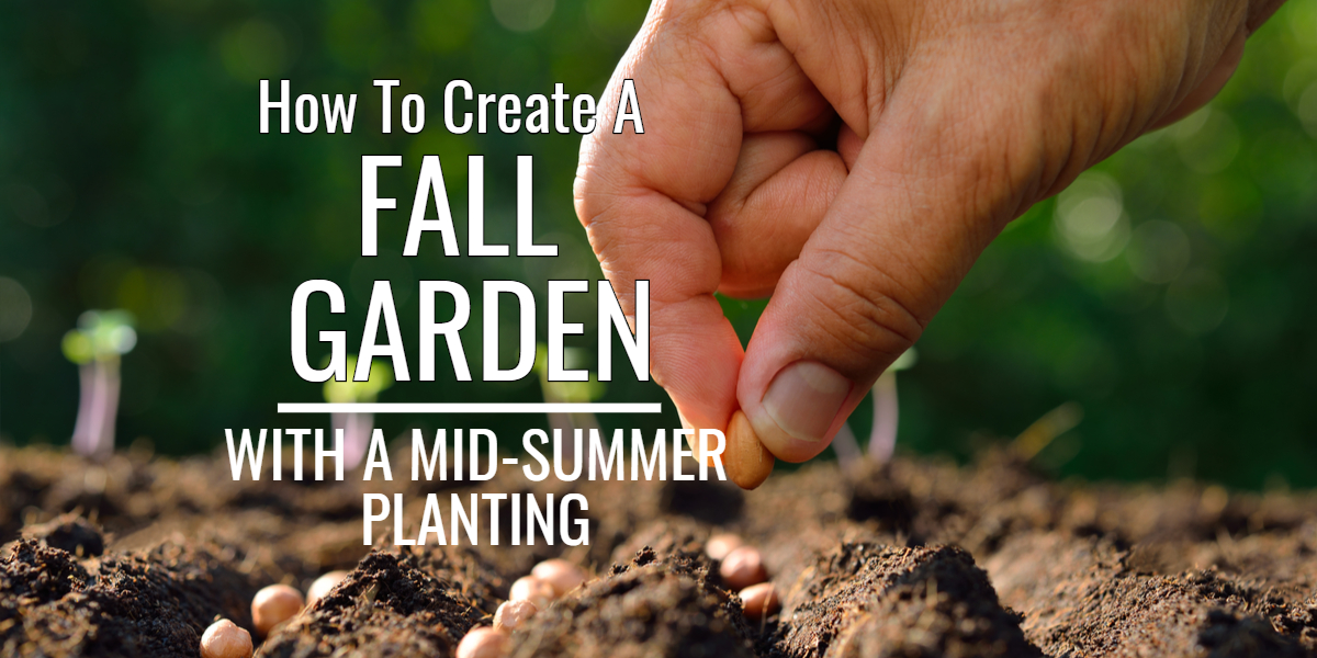 create a fall vegetable garden