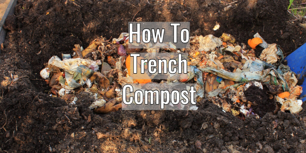how to trench compost
