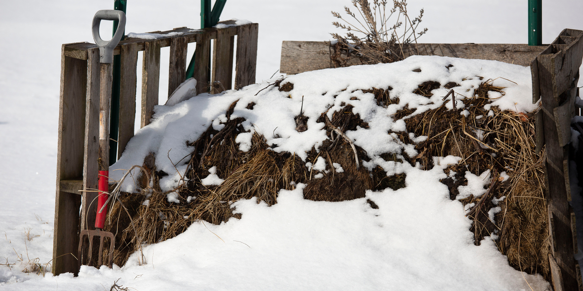 how to compost in the winter