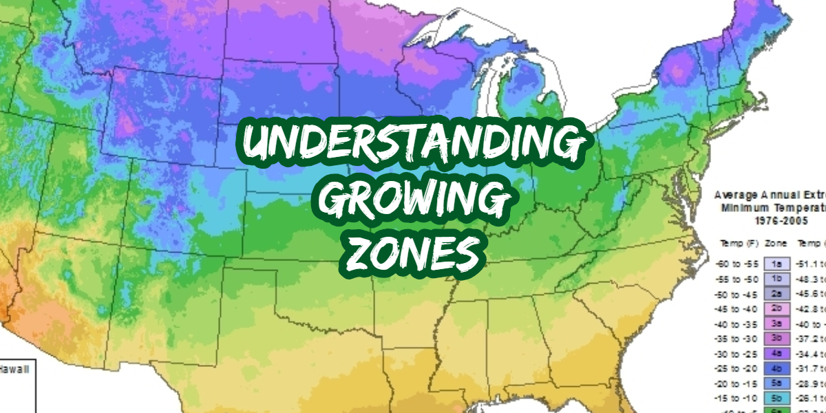 understanding growing zones