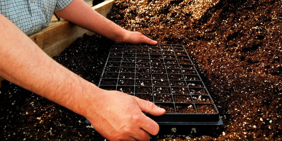 homemade seed starting soil