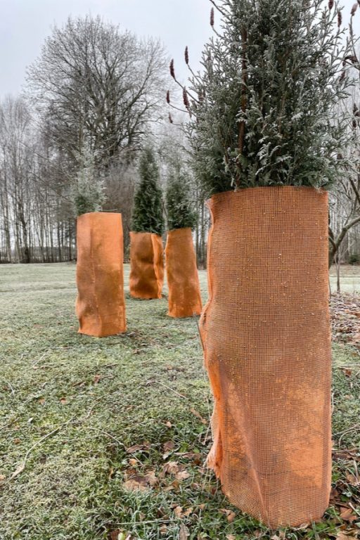 How To Prevent Winter Deer Damage To Your Plants & Landscape