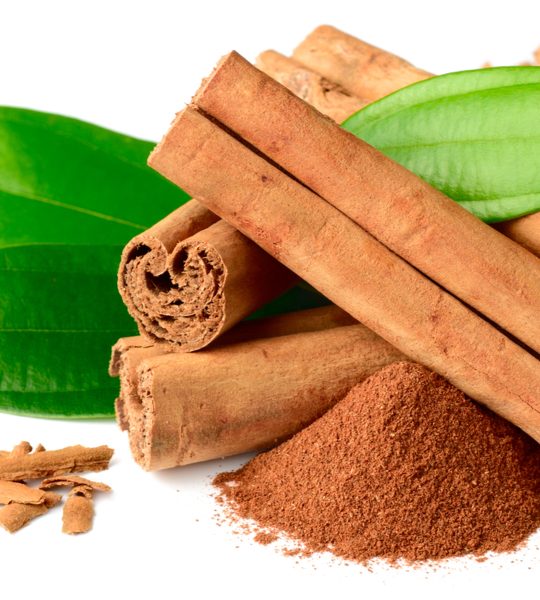 how to use cinnamon on plants