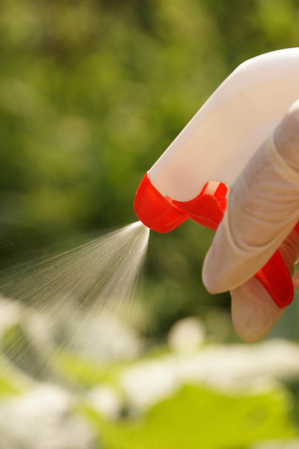 why not to spray pesticides