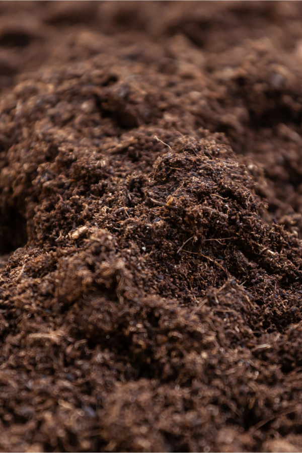 compost for the best potting soil
