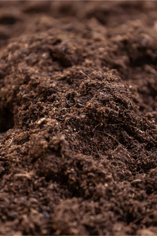 compost for the best potting soil