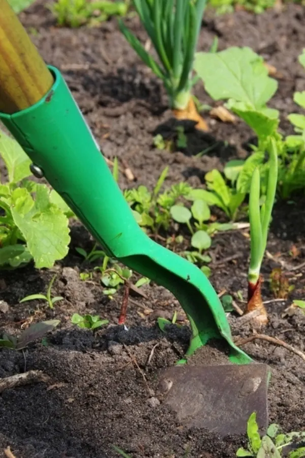 hoeing the soil - keep weeds out of a garden