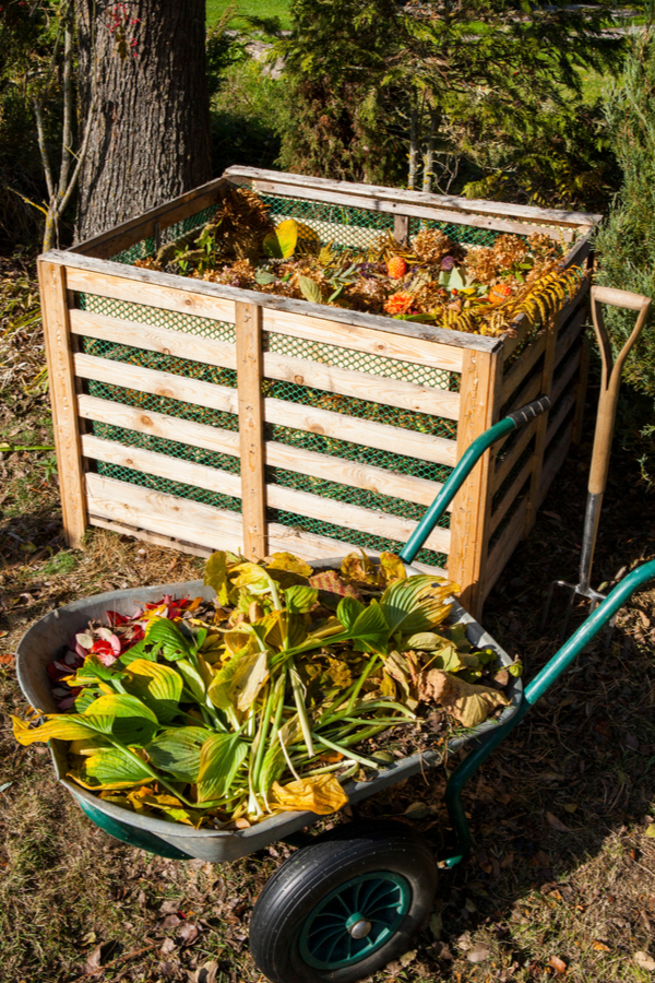 use compost in the garden