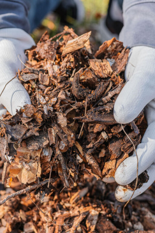 How To Mulch Flowerbeds In The Fall And Why It's So Important!
