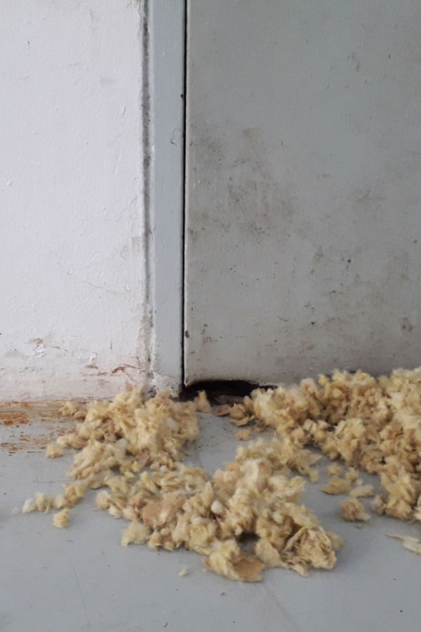garage sealing - how to stop mice
