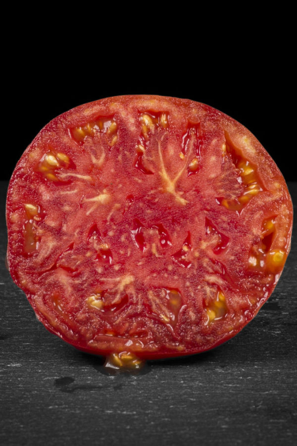mortgage lifter tomato - big tomato varities