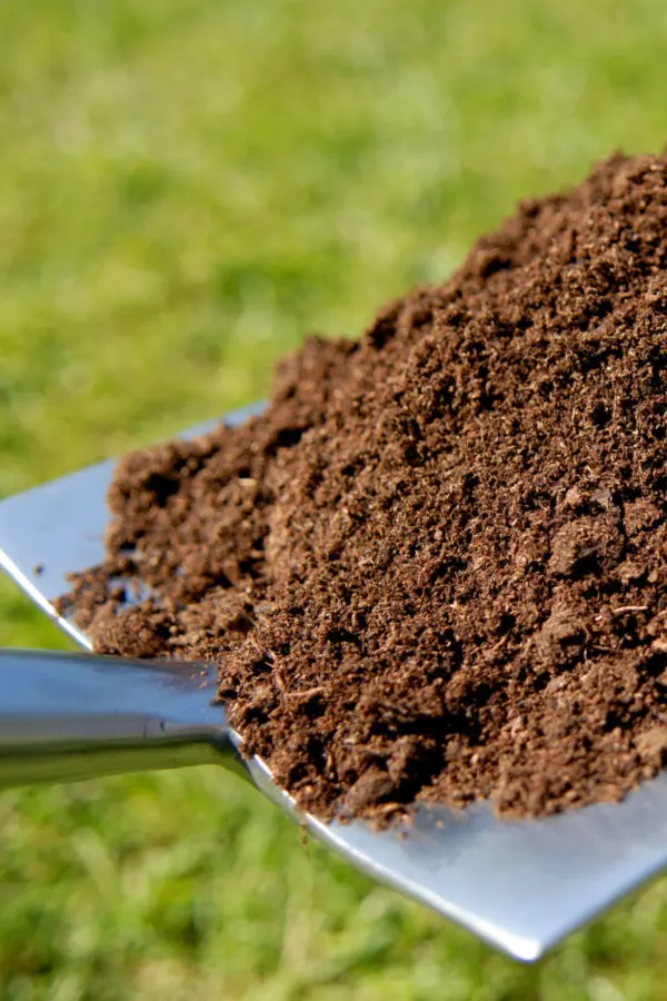 http://thisismygarden.com/wp-content/uploads/2023/03/compost-for-plants.jpg.webp