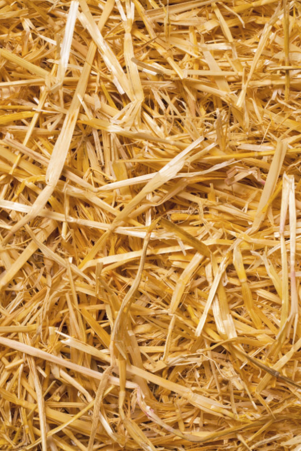 straw bales - the Dig & Plant straw bale method