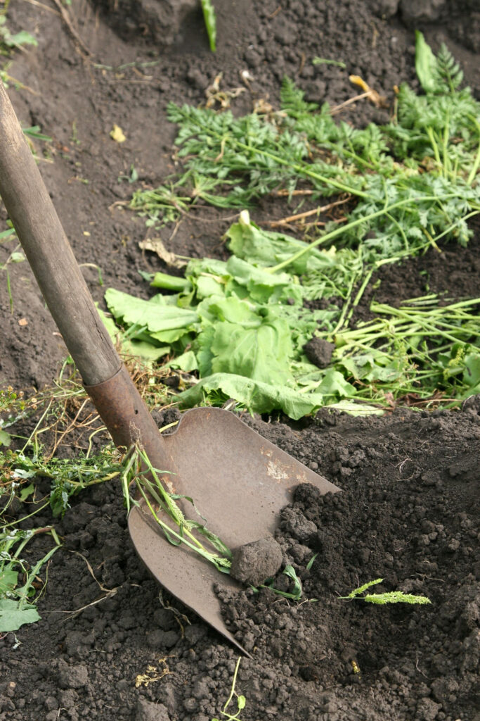 digging up flowerbeds - 3 mistakes mulching