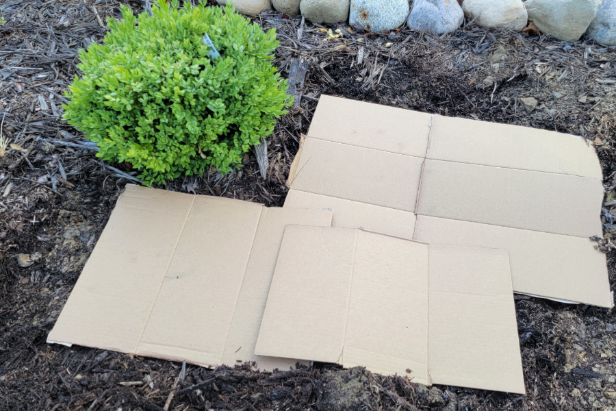 how to use cardboard to stop weeds in flowerbeds