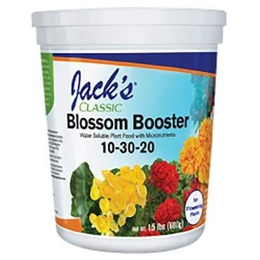 bloom booster for petunias