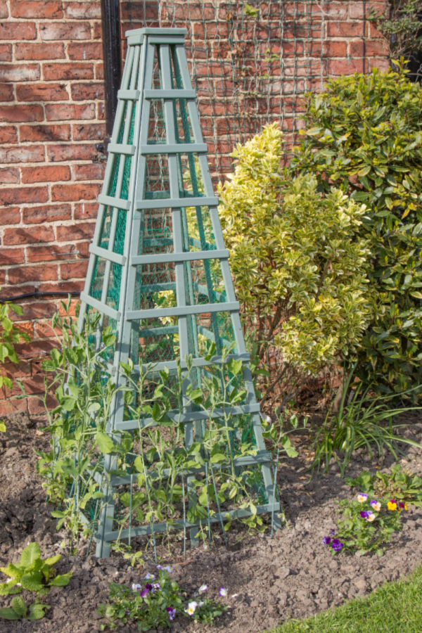 obelisk garden support
