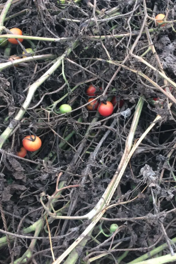 composting materials