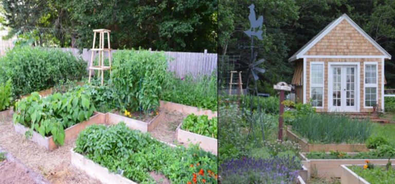 The MacLean & Harris Garden - A 3/4 Acre Canadian Garden Oasis