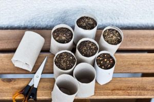 homemade seed starting containers