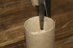 biodegradable seed starting containers