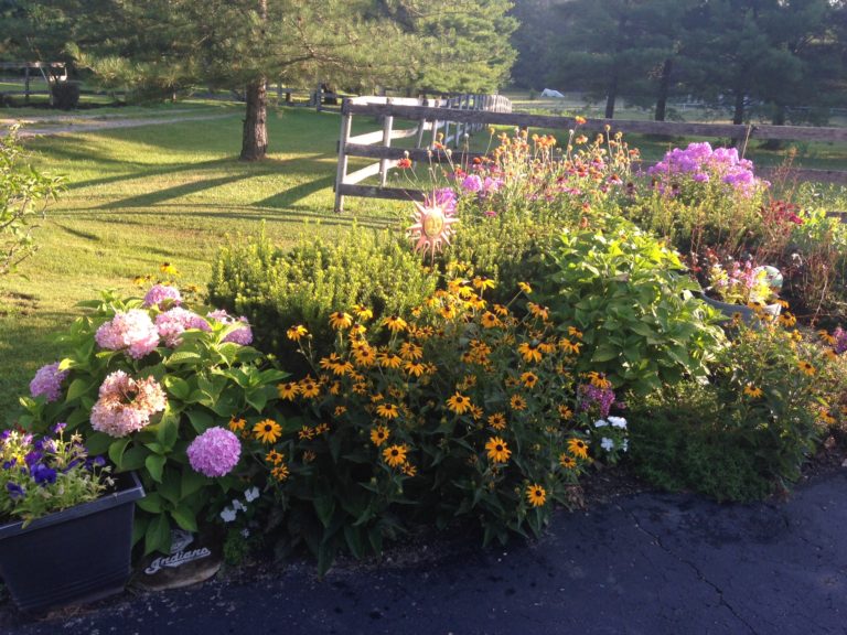 Cheryl's Garden - A Gorgeous Mix of Flowers, Vegetables and Containers