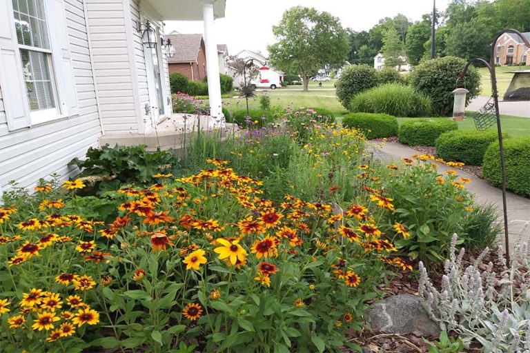 prairie garden