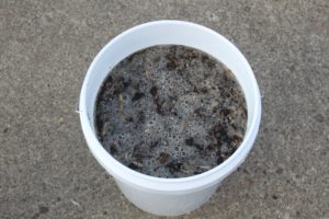 homemade compost tea