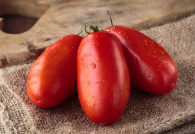 fresh salsa recipe