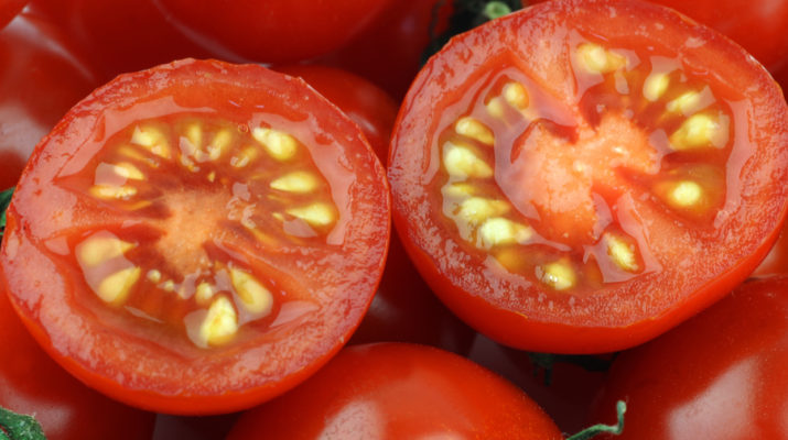 saving-tomato-seeds-how-to-save-heirloom-tomato-seeds-for-next-year