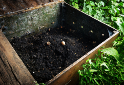 composting leaves