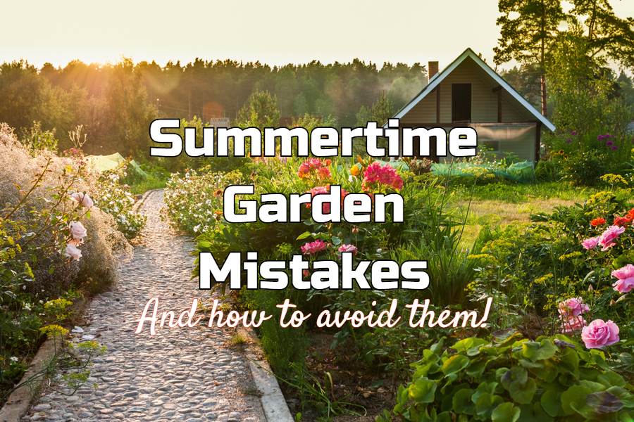 summer garden mistakes