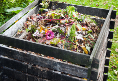 fall garden clean up