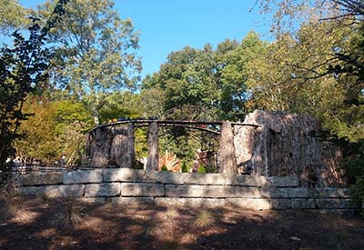 Cheekwood Gardens