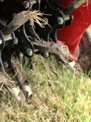 aerate lawns