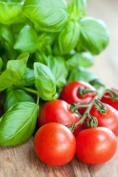 basil and tomatoes