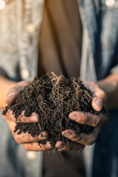 compost