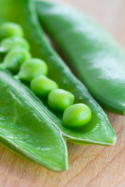 grow sugar snap peas