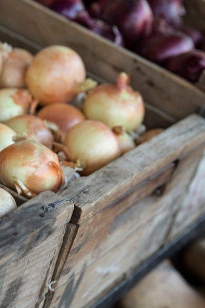 storing onions