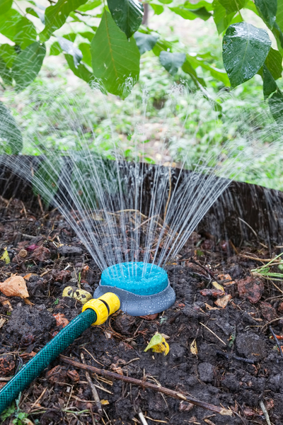 The 5 Most Common Composting Mistakes - And How To Avoid Them!