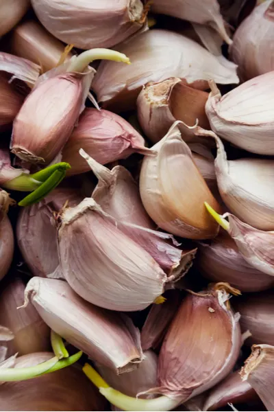 garlic cloves