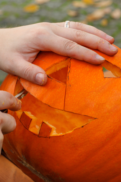 Preserving Pumpkins How To Make Pumpkins Last Longer Carved Or Not