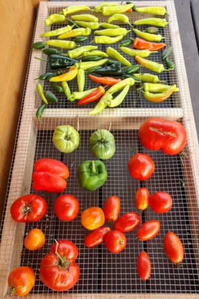 ripening vegetables