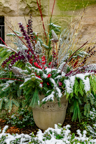 Add Winter Interest To Your Flowerbeds And Gardens