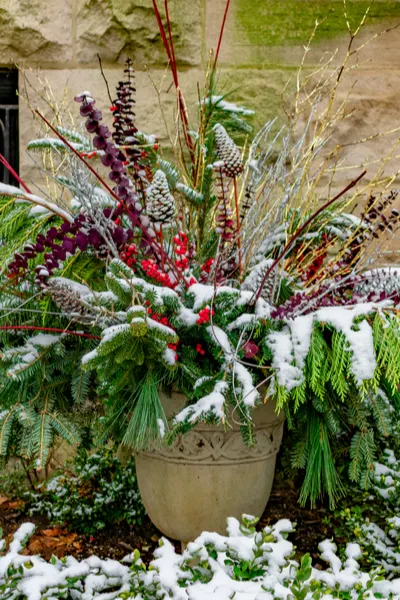 Add Winter Interest To Your Flowerbeds And Gardens