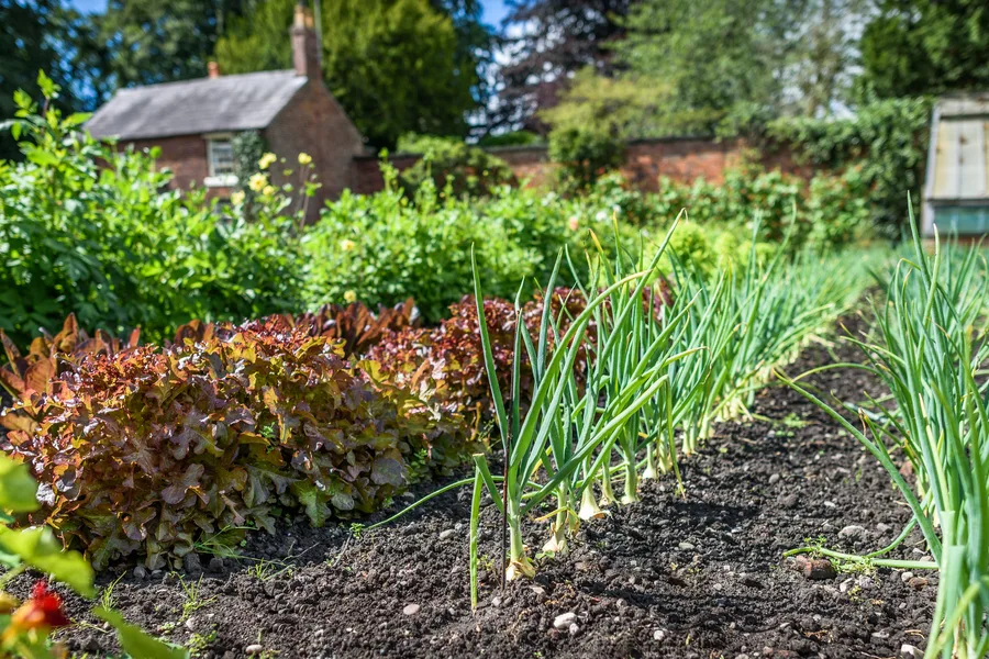 gardening journal
