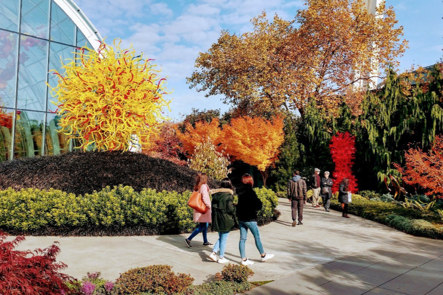 Beautiful Chihuly Garden