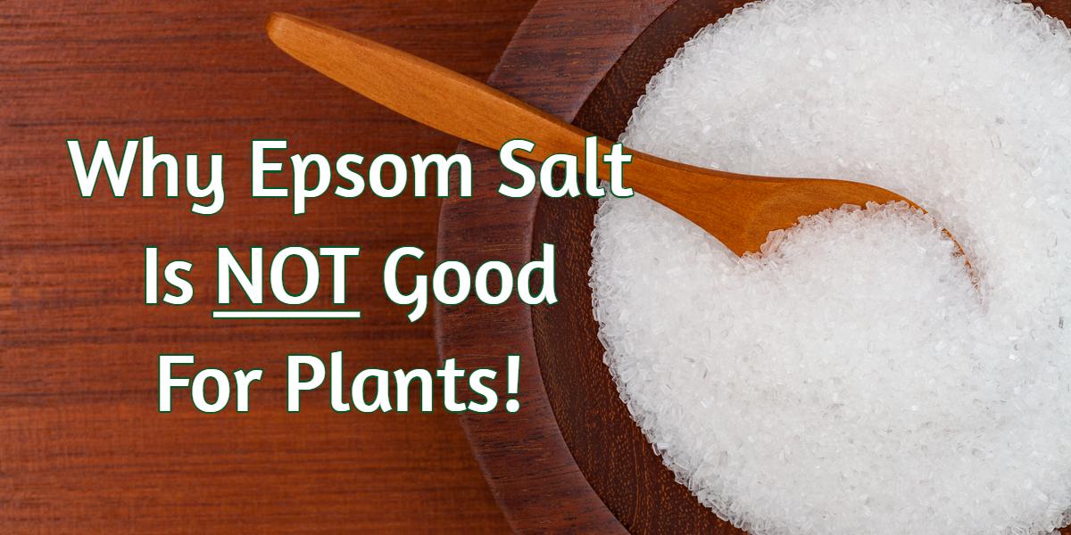 Does Epsom Salts Help Nappy Rash