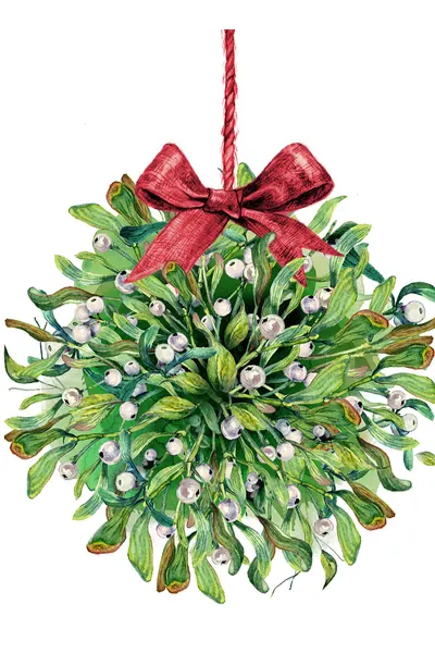 Mistletoe, a holiday tradition